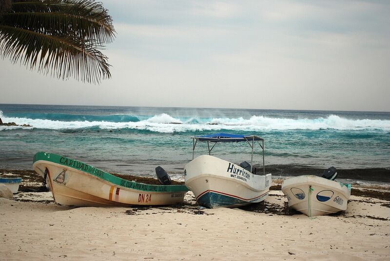 Deep-Sea Fishing in Cozumel (2026): Seasons, Prices and How to Book a Charter