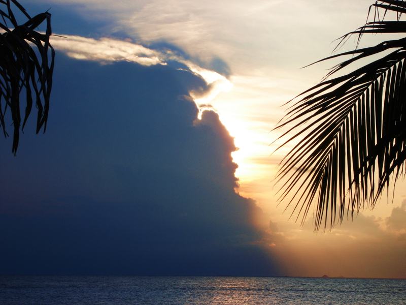 Cozumel Canine Park in the Works